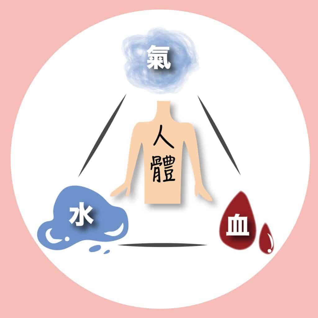 【撥筋好處大公開】不為人知的隱藏版美容秘方，一篇就懂撥筋是什麼